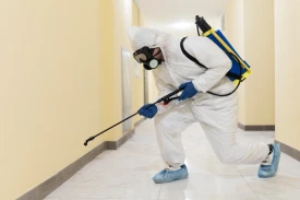Bond Cleaning Scarborough
